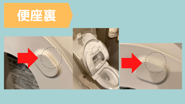 トイレ掃除 （ 便座裏 ）