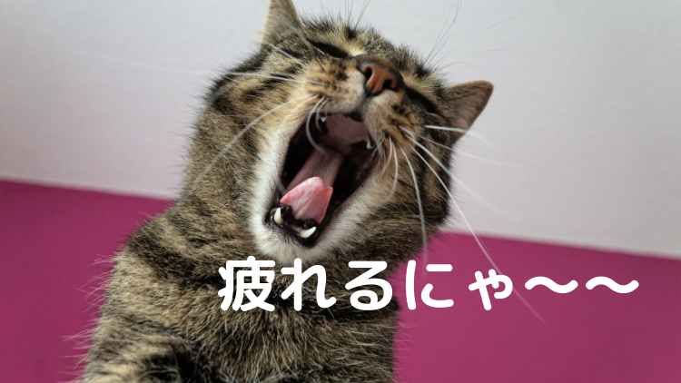 平日は、ただ疲れて終わる。