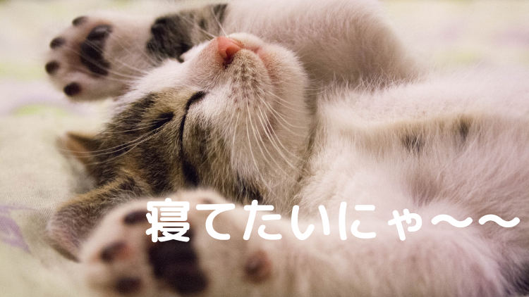 できれば寝ていたい・・